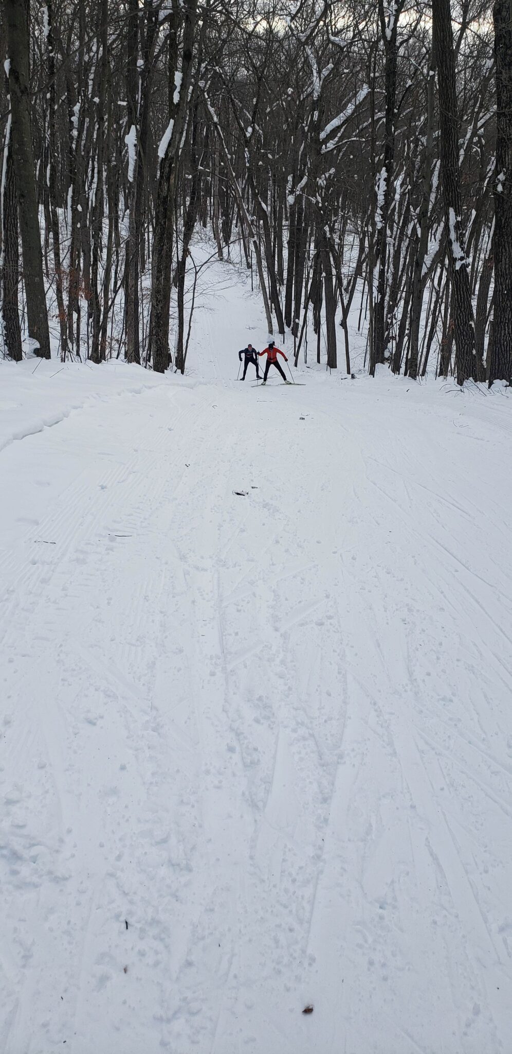 Trails Northern Kettle Moraine Nordic Ski Club